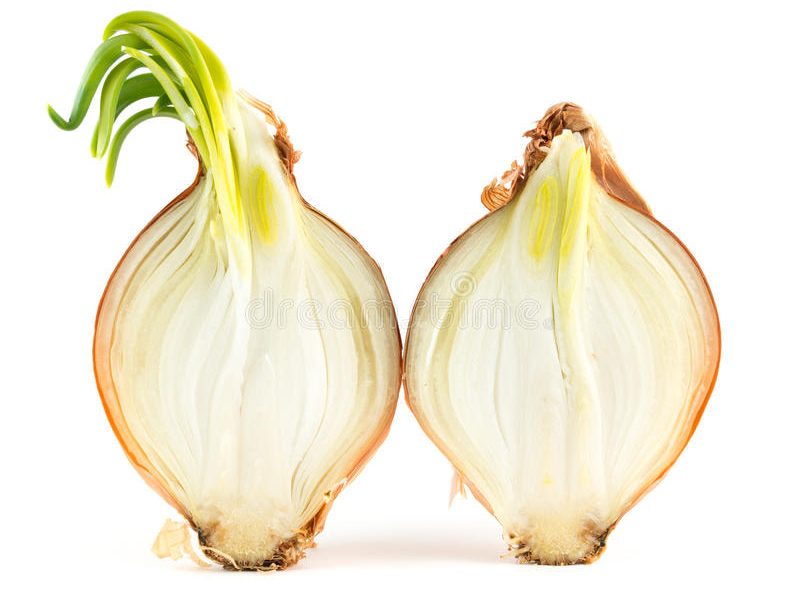 El alimento como residuo El alimento como residuo