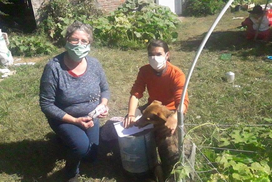 Huerta: Qué sembrar en agosto Huerta: Qué sembrar en agosto