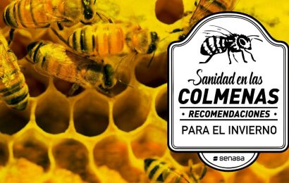 Colmenas: Importante controlar reservas alimenticias y estado sanitario del apiario