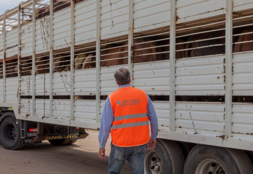 Crece la autogestión del documento para trasladar animales y vegetales Crece la autogestión del documento para trasladar animales y vegetales
