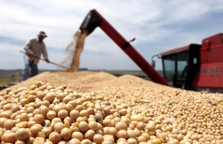 Flamante entidad impulsa sanción proyecto de ley que dé sustento al sector exportador Flamante entidad impulsa sanción proyecto de ley que dé sustento al sector exportador