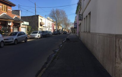El Consejo del Arbolado Municipal ¿se secó, funciona, hace algo?