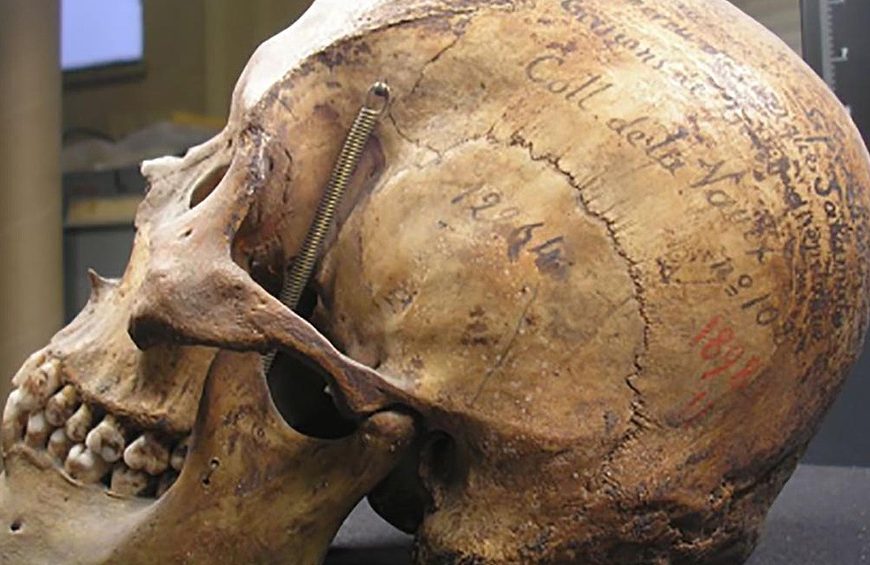 La ONU pidió que los museos sean «descolonizados» y fortalece un reclamo tehuelche La ONU pidió que los museos sean «descolonizados» y fortalece un reclamo tehuelche