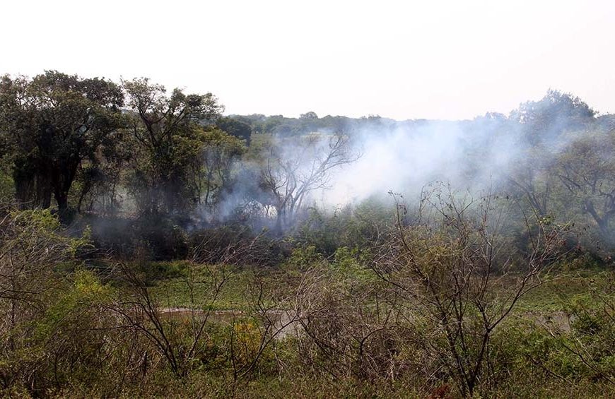 Los incendios se encuentran extinguidos o bajo guardia de cenizas Los incendios se encuentran extinguidos o bajo guardia de cenizas