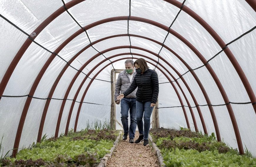 Construyen invernaderos solidarios que promuevan la soberanía alimentaria Construyen invernaderos solidarios que promuevan la soberanía alimentaria