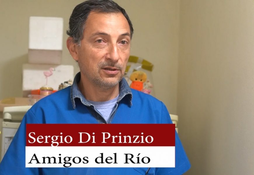Amigos del Río fabrica contenedores para pilas y baterías Amigos del Río fabrica contenedores para pilas y baterías