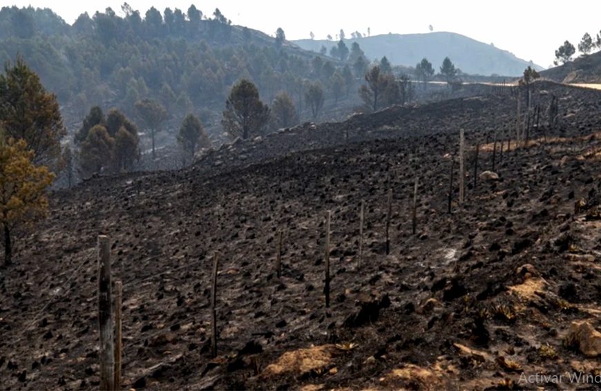 Gracias a las lluvias, se extinguieron todos los focos activos en Córdoba Gracias a las lluvias, se extinguieron todos los focos activos en Córdoba