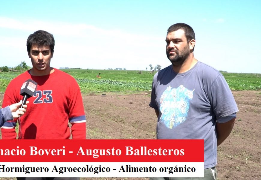 Verduras y hortalizas con tratamiento agroecológico y a muy buenos precios Verduras y hortalizas con tratamiento agroecológico y a muy buenos precios