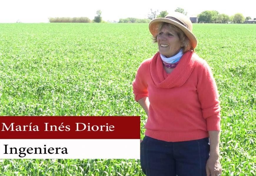 “Se está viniendo lo orgánico en la agricultura” “Se está viniendo lo orgánico en la agricultura”