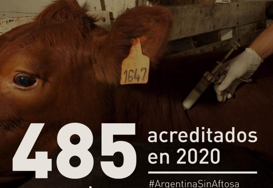 Suman 485 acreditaciones para la campaña de vacunación antiaftosa Suman 485 acreditaciones para la campaña de vacunación antiaftosa