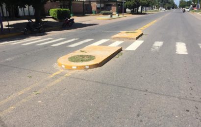 Los canteros de la avenida 3 de Febrero al descuido total