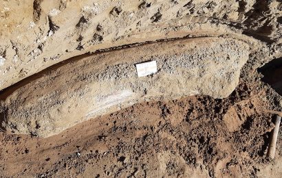 La bajante y sequía en el río Salado permitió hallar restos fósiles de más de 10.000 años