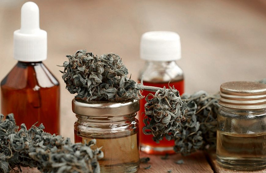 El Gobierno reglamentó el registro de autocultivo de cannabis medicinal El Gobierno reglamentó el registro de autocultivo de cannabis medicinal