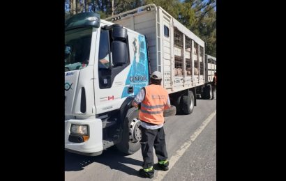 Controles a más de 600 transportes en rutas del norte bonaerense