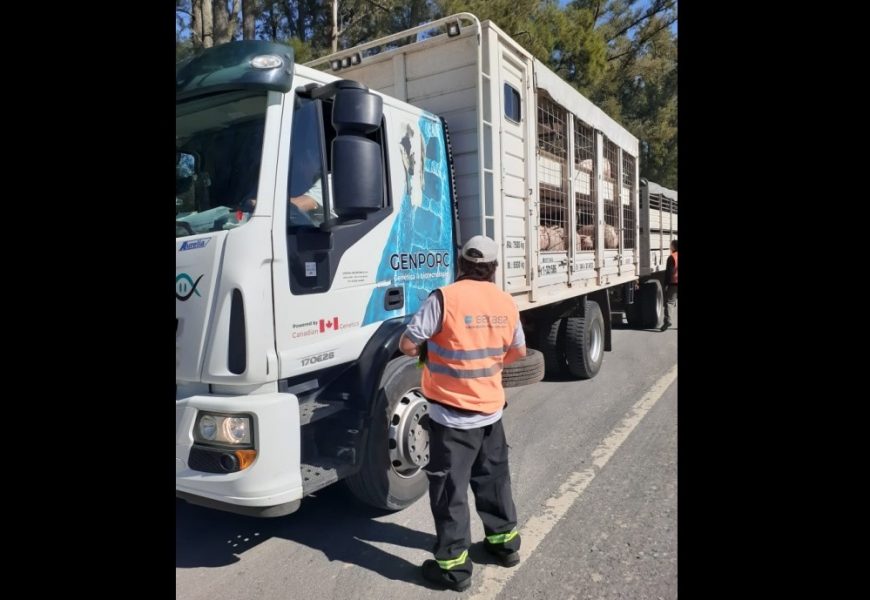 Controles a más de 600 transportes en rutas del norte bonaerense Controles a más de 600 transportes en rutas del norte bonaerense