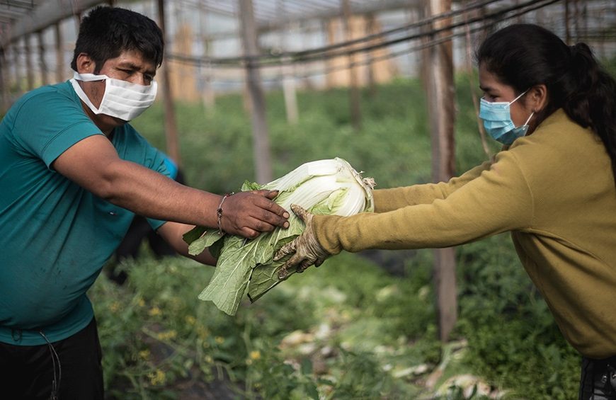 Trabajadores de la tierra ofrecen productos agroecológicos a precios accesibles Trabajadores de la tierra ofrecen productos agroecológicos a precios accesibles