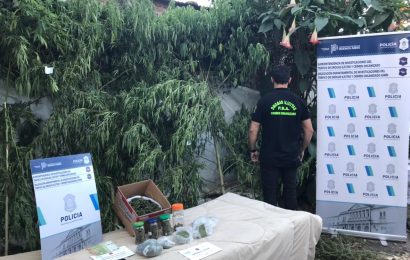 La policía allanó domicilios por venta de marihuana: Hay dos detenidos