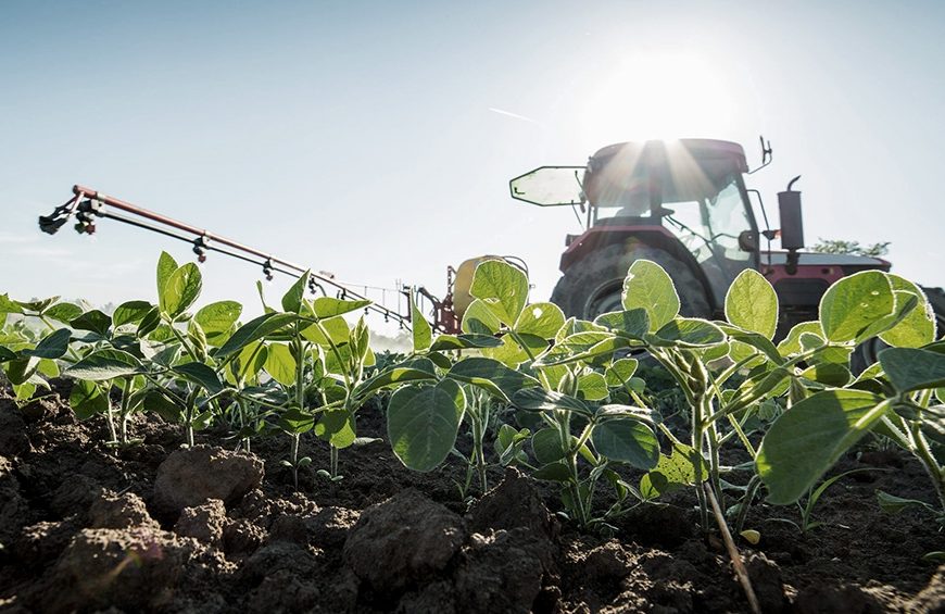 La rentabilidad de los agricultores se ubica entre «las más altas de la historia» La rentabilidad de los agricultores se ubica entre «las más altas de la historia»