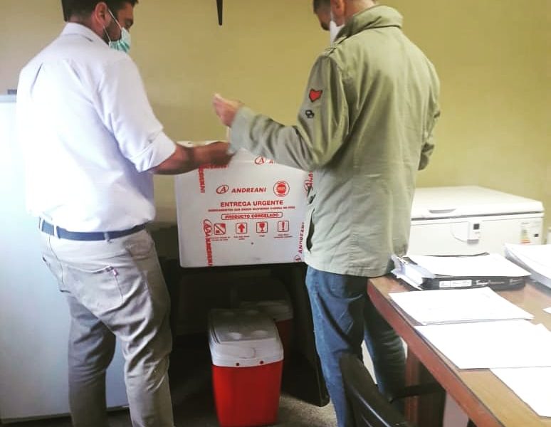 Llegaron nuevas dosis de vacunas Sputnik V Llegaron nuevas dosis de vacunas Sputnik V