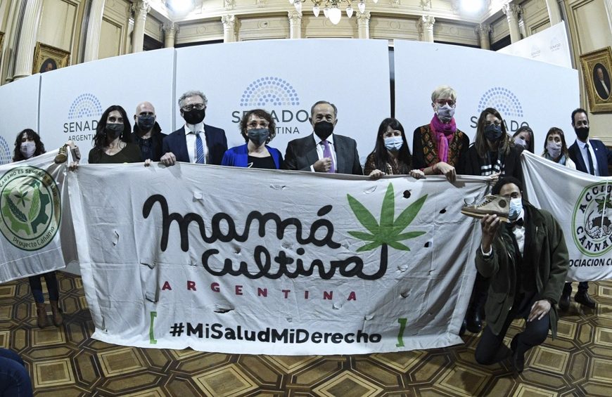 El Senado aprobó el marco regulatorio de producción de cannabis medicinal El Senado aprobó el marco regulatorio de producción de cannabis medicinal