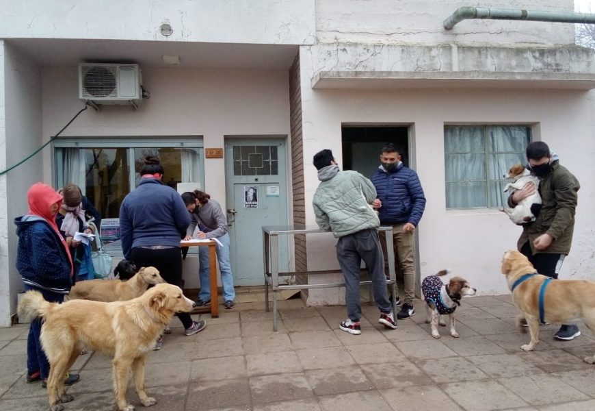 Se realizó vacunación antirrábica en Carabelas Se realizó vacunación antirrábica en Carabelas