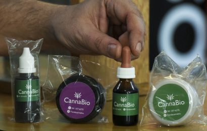 Entusiasmo en las provincias por las oportunidades que arroja el cannabis medicinal