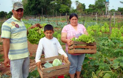 Agricultura familiar: se inició el curso para referentes de cooperativas frutihortícolas