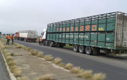 El Senasa controló la carga de más de 1900 transportes en rutas del norte bonaerenses