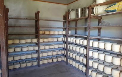 Entró en vigencia la norma para establecimientos lácteos de elaboración artesanal