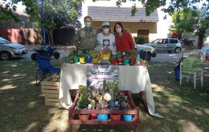 Se realizó la feria ‘Arbolarte’