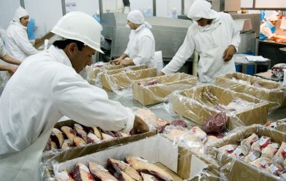 Acciones de Prevención contra la peste porcina africana para personal de fronteras