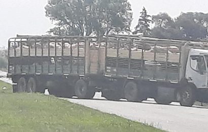 Accidente fatal sobre Ruta 31: Dos personas fallecidas