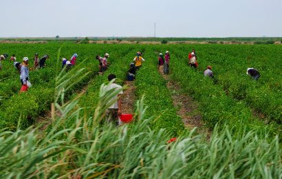 El Gobierno busca restablecer un vínculo positivo con el campo mediante anuncios claves para el sector