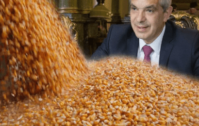Productores prevén pérdidas de USD 1.100 millones por las limitaciones en las exportaciones de maíz