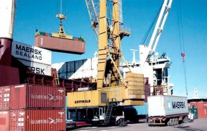 Argentina: el país que más incrementó sus exportaciones a Brasil entre enero y noviembre