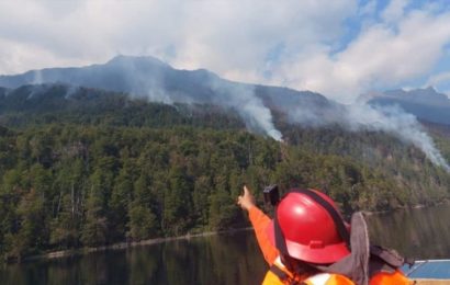 Neuquén, Río Negro y Chubut registran incendios forestales activos