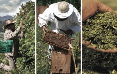 Retenciones de 0% para las exportaciones de productos orgánicos y agroindustriales