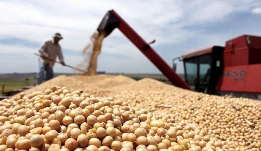 La lluvia no llega a tiempo para los cultivos La lluvia no llega a tiempo para los cultivos