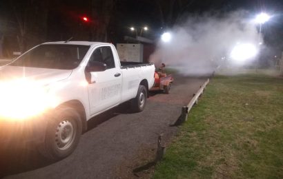 Bromatología fumiga contra mosquitos
