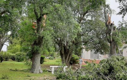 El Municipio actúa en el CEPT de Hunter