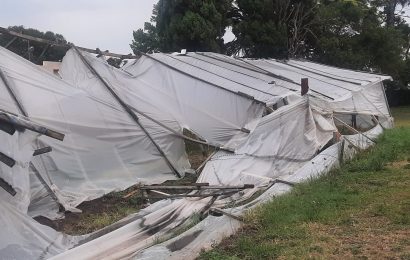 La tormenta causó graves daños en el CEPT de Hunter