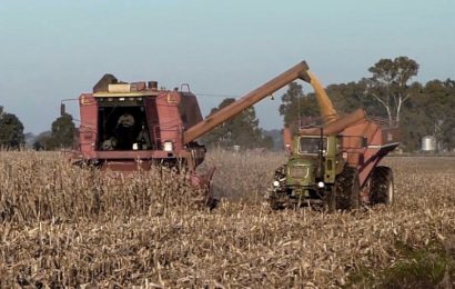 El fenómeno La Niña pone en riesgo la proyección de cosechas récords