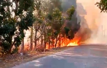 Cuatro provincias registran focos de incendios forestales
