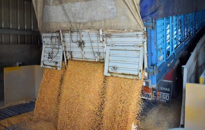 Agroexportadores liquidaron el récord de casi US$ 2.500 millones en enero