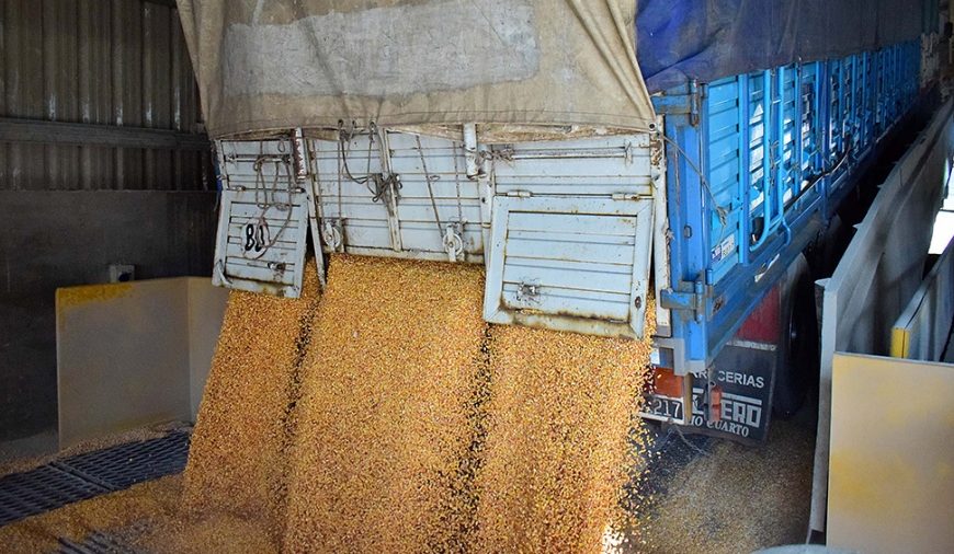 Agroexportadores liquidaron el récord de casi US$ 2.500 millones en enero Agroexportadores liquidaron el récord de casi US$ 2.500 millones en enero