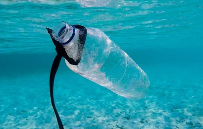 Basura plástica: de las 300 millones de toneladas que se producen cada año solo el 10% es reciclada