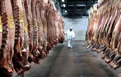 Crecieron los ingresos por las exportaciones de carne