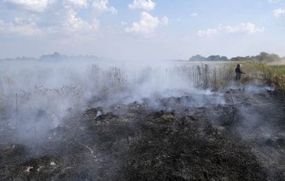 Créditos de hasta $1,5 millones para productores rurales afectados por incendios