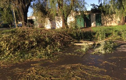 La tormenta causó graves destrozos