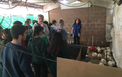 El INTA y el CEPT de Hunter buscan desarrollar vacuna